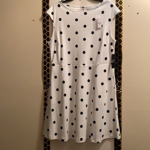 New York & Company White and Black Polka Dot Dress